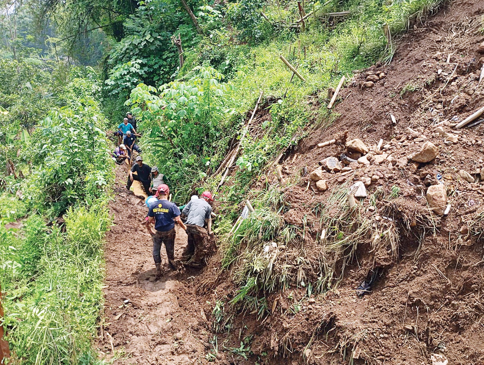 AMBROL: Tebing setinggi 12 meter dan lebar 6 meter longsor di Dusun Krajan, Desa Ketindan, Kecamatan Lawang, sekitar pukul 10.00. Material longsor menyumbat saluran irigasi dan memutuskan pipa PDAM.