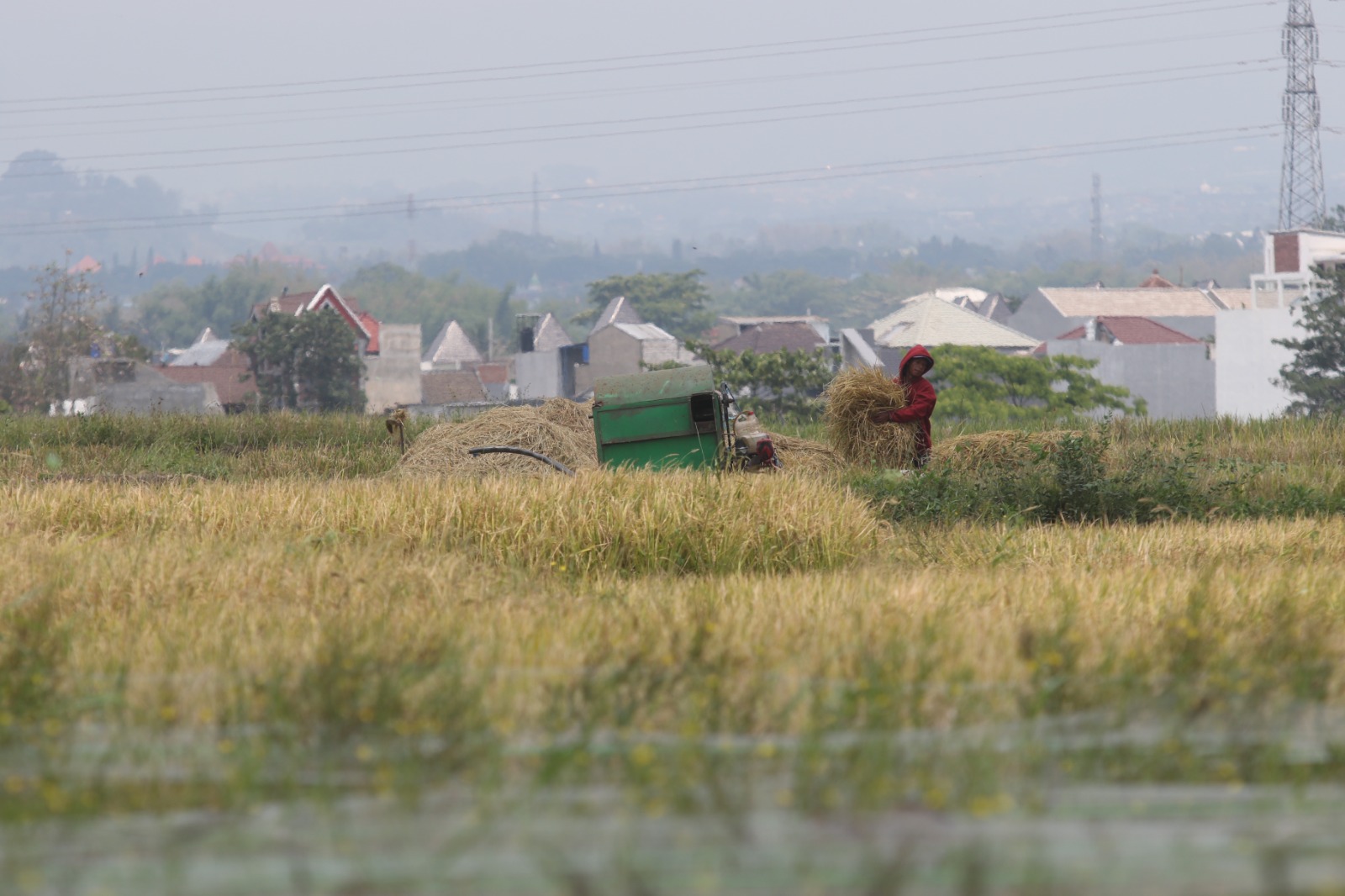JATAHNYA MENURUN: Petani di Kecamatan Kedungkandang mengolah hasil panennya, kemarin. Mereka dipastikan mendapat jatah pupuk bersubsidi dari pemerintah pusat. SATRIA CAHYONO / RADAR MALANG