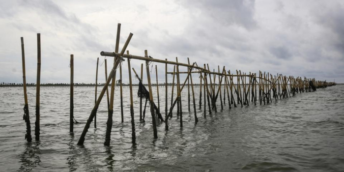 Pagar Laut Ilegal yang membentang luas di Kabupaten Tanggerang,&nbsp;Banten (AntaraNews)
