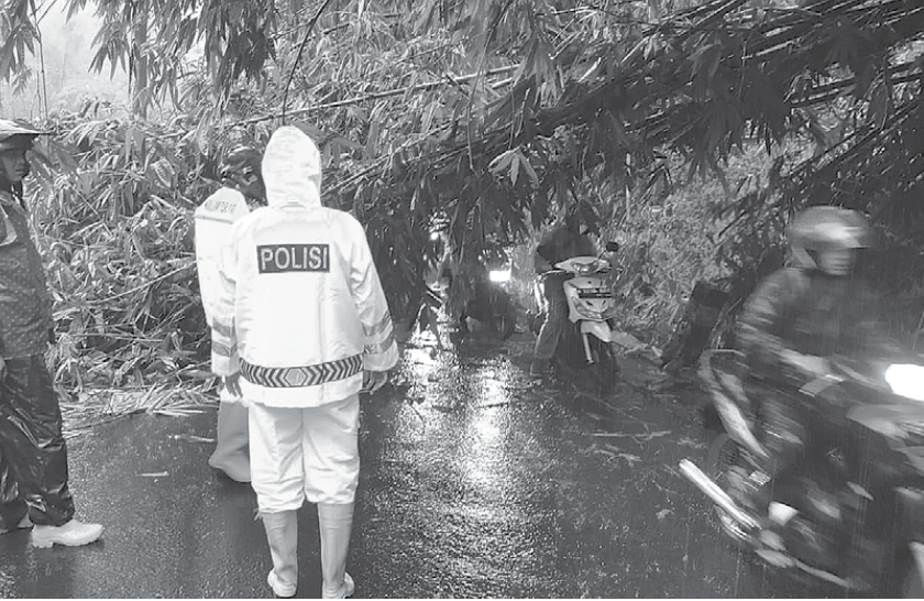 IMBAS CUACA EKSTREM: Bambu di jurang akhir Desa Parangargo, Kecamatan Wagir, Kabupaten Malang roboh hingga menutup ruas jalan kemarin (24/1). (POLSEK WAGIR FOR RADAR KANJURUHAN)