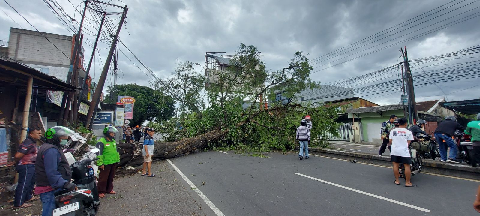 MENUTUP JALUR: Pohon asem di Jalan Raya Karanglo tumbang diterjang angin kencang kemarin siang. Akar pohon tersebut sudah lapuk. BIYAN MUDZAKY HANINDITO/RADAR KANJURUHAN