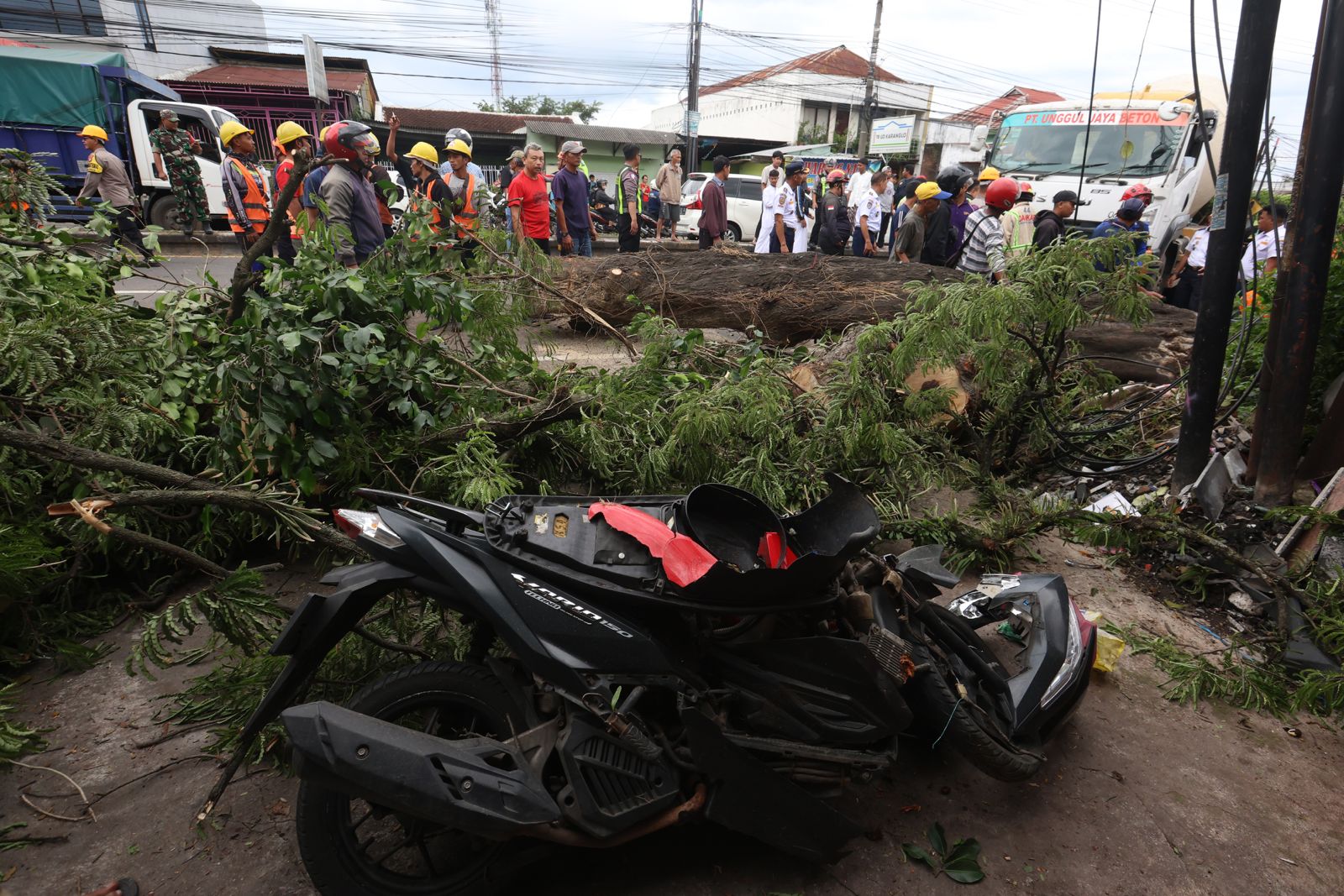 HANCUR: Sebuah motor Honda Vario rusak parah tertimpa pohon asem yang tumbang di Jalan Raya Karanglo kemarin. Pengendaranya dilarikan ke RS Prima Husada karena luka cukup parah. DARMONO/RADAR MALANG