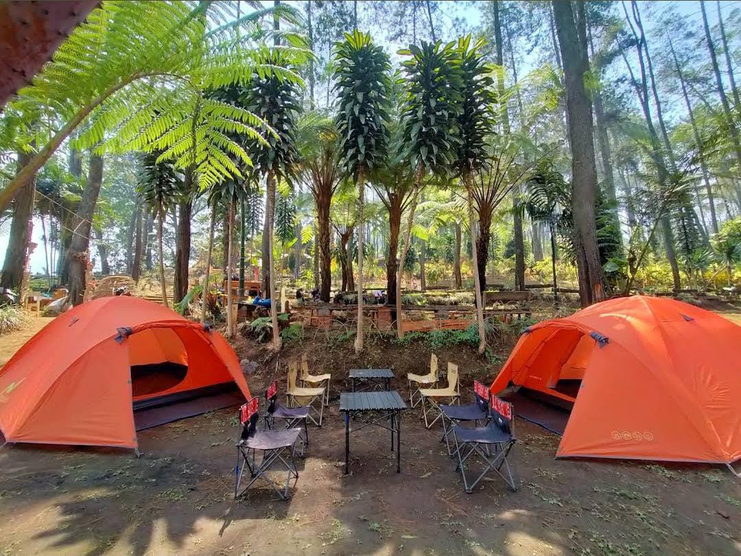 Camping ground yang rapi dengan keindahan alam (manusia kaktus/Google&nbsp;Maps)