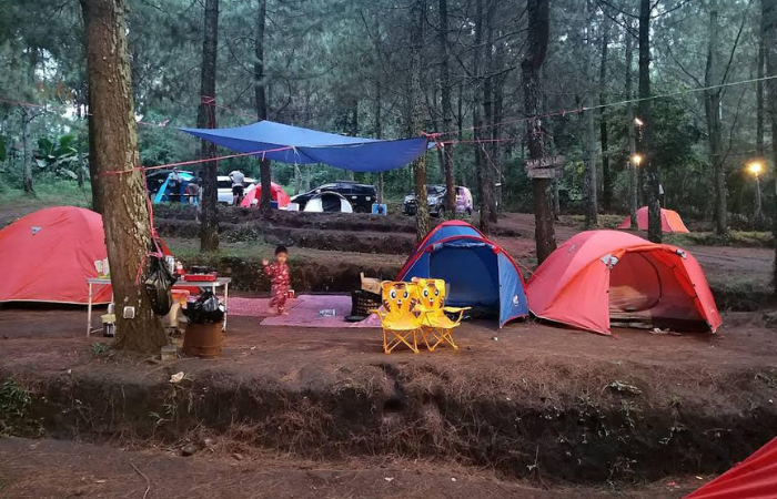 Keindahan Taman Pinus Campervan Park (Veronika Cristin/Google&nbsp;Maps)