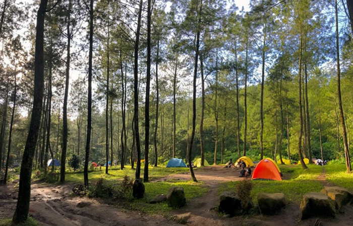 Keindahan perkemahan Bedengan ketika siang hari (salsawisata)