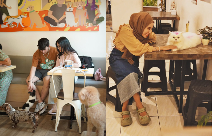Kafe Pet Friendly di Malang, ada Pawvilion (kiri) dan Meow Cat Cafe (kanan). (Instagram: pawviliondogcafe, meow_catcafe.mlg)
