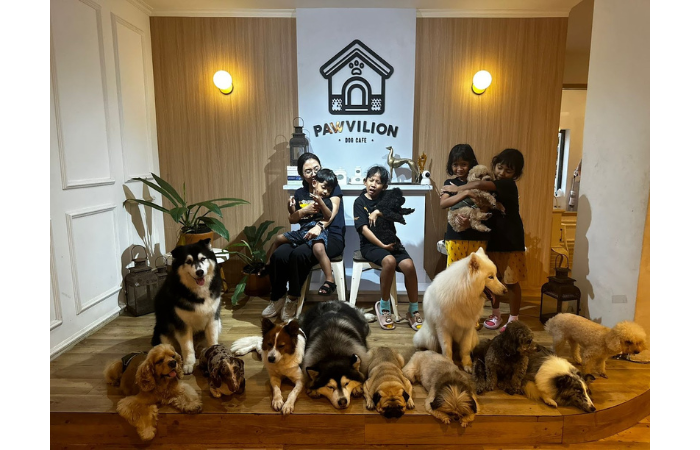 Bermain bersama anjing di Pawvilion Cafe (Instagram: pawviliondogcafe)