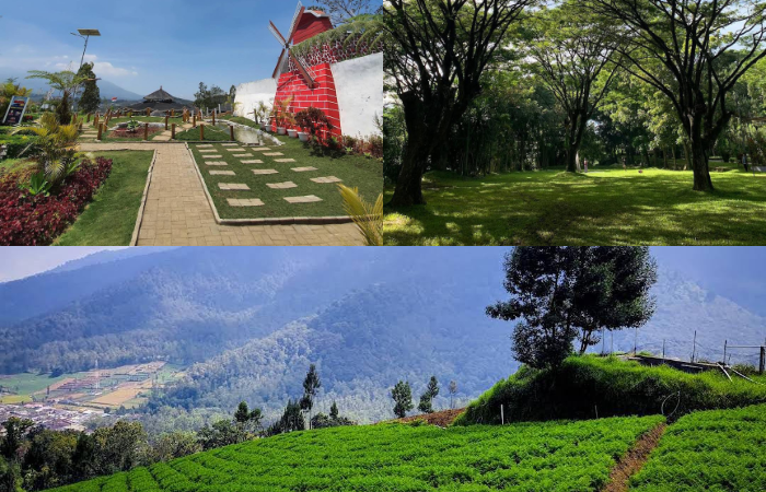 Keindahan alam di Malang dengan harga terjangkau (Google Maps: vita dwi fatmala (kanan atas), Caca ca (kiri atas), dan frank variasi (bawah))