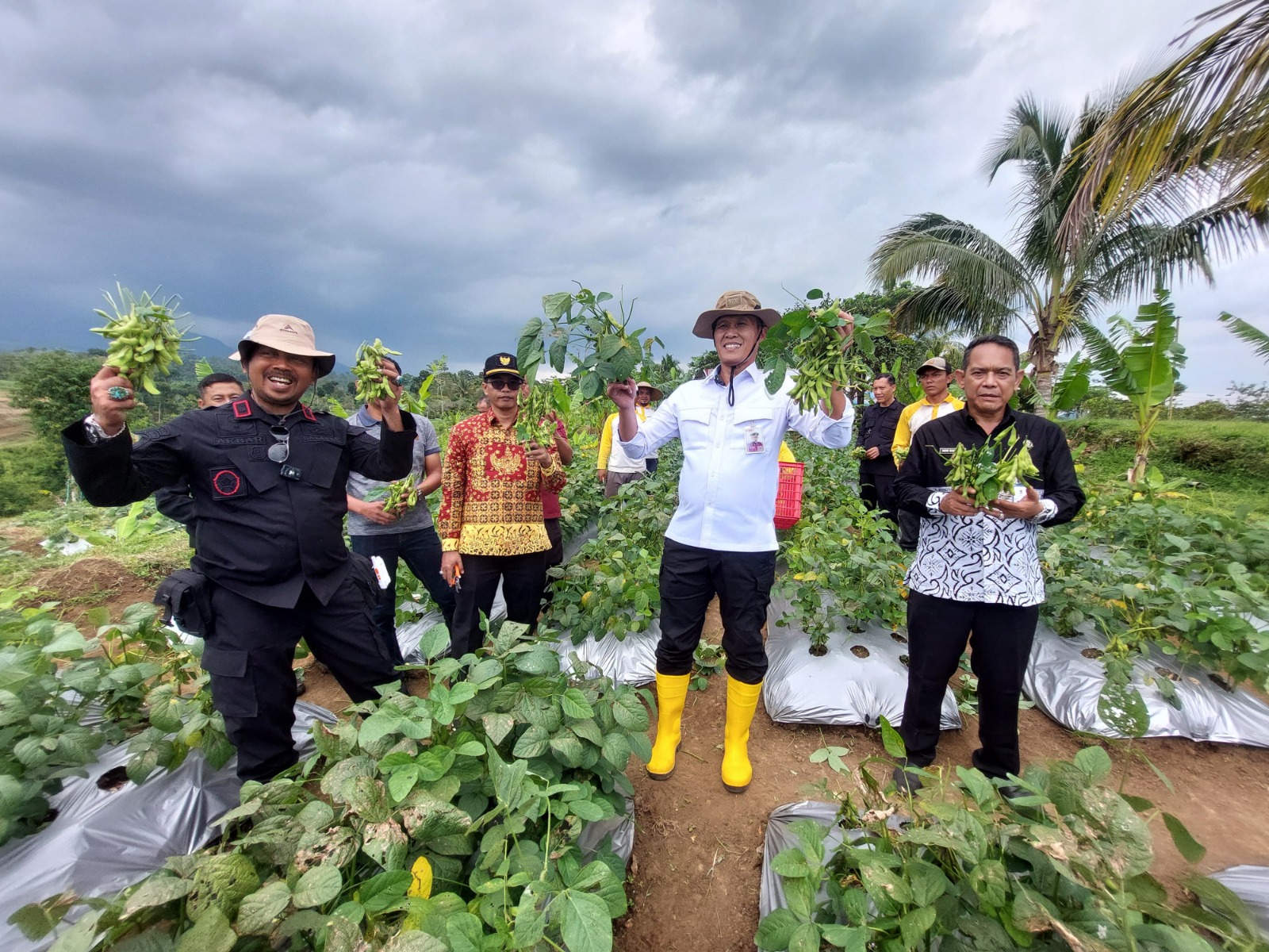 CAPTION: PANEN RAYA: Dari kiri, Kalapas Ketut Akbar Herry Achyar Kakanwil Ditjenpas Kadiyono, Kabid Hortikultura DTPHP Heri Suntoro di Kecamatan Ngajum, (6/2). (LAPAS LOWOKWARU FOR RADAR KANJURUHAN)