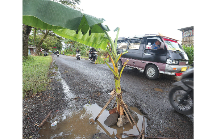 ANTISIPASI KECELAKAAN: Pohon pisang ditanam warga tepat di titik jalan rusak di desa Kidal, Kecamatan Tumpang kemarin (10/2). (DARMONO/RADAR MALANG)