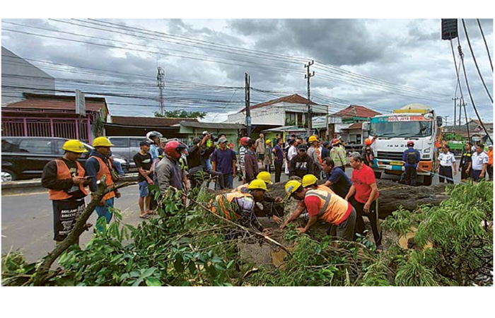 Tim dari BPBD dan PMI Kabupaten Malang mengevakuasi pohon yang tumbang di Jalan Raya Karanglo, Desa Banjararum, Kecamatan Singosari akhir Januari lalu. (BIYAN MUDZAKY HANINDITO / RADAR KANJURUHAN)