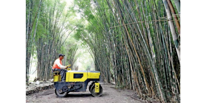 POTENSIAL: Hutan Bambu Keputih diproyeksikan menjadi hutan kota yang juga bisa menjadi destinasi wisata. (PUGUH SUJIATMIKO/JAWA POS)