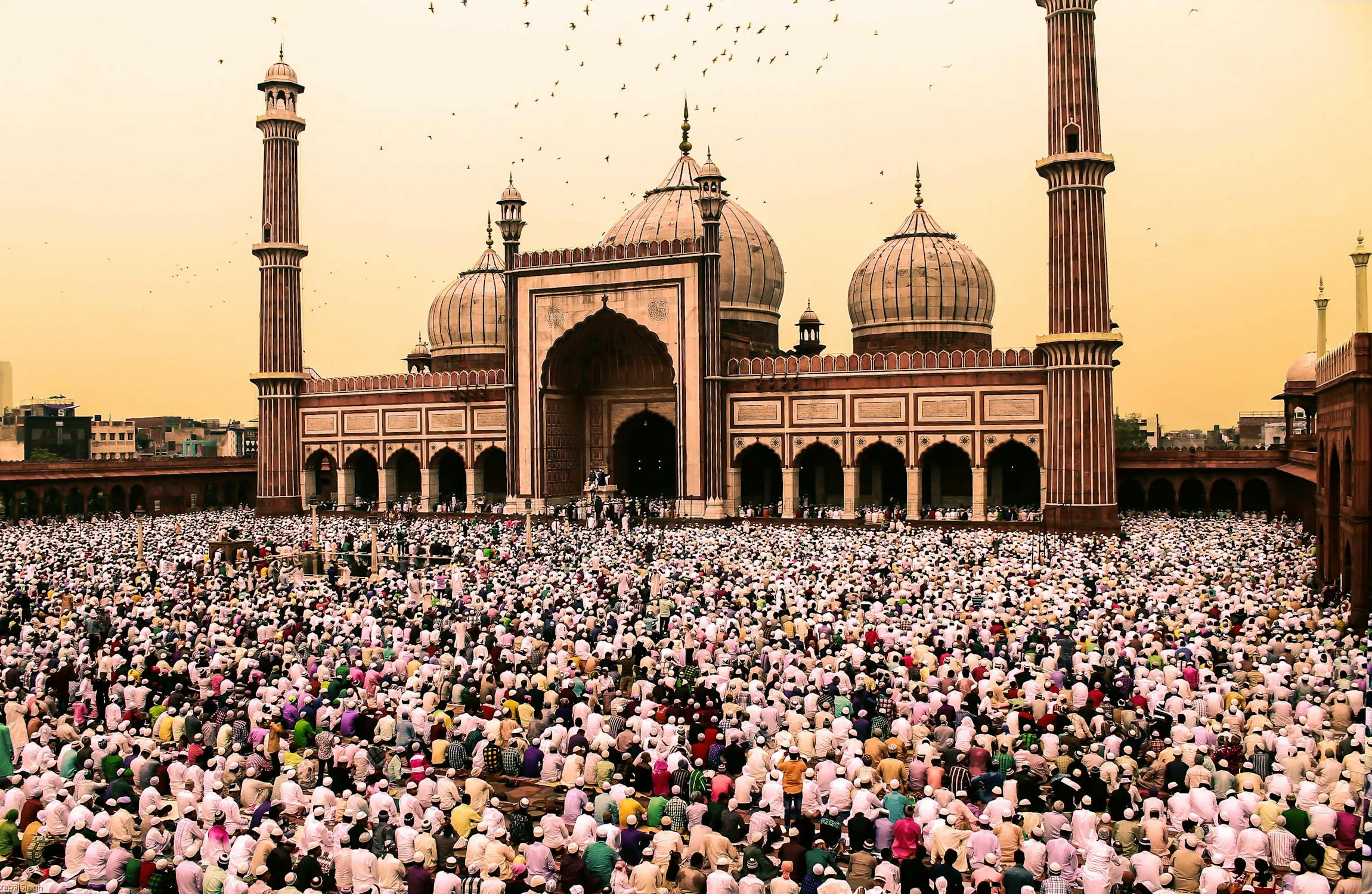 Foto Salat Eid. (pixels/Chattrapal (Shitij) Singh)