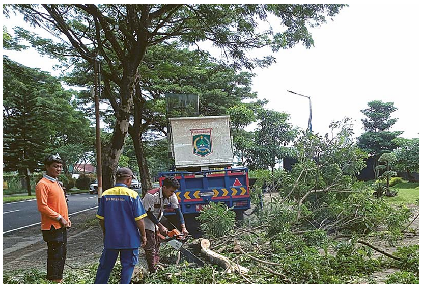 ANTISIPASI TUMBANG: Personel dari dPUBM Kabupaten Malang memotong pohon di Jalur Lingkar Barat (Jalibar), desa Ngadilangkung, Kecamatan Kepanjen, kemarin (28/3). (DPUBM KABUPATEN FOR RADAR MALANG)