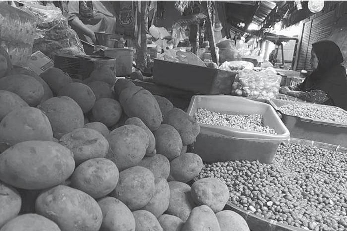 Kentang hasil produksi petani Ngadas, Kecamatan Ponco kusumo tersedia di pasar-pasar tradisional. (NAHDIATUL AFFANDIAH/RADAR MALANG)