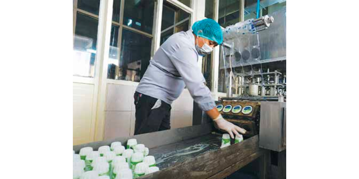 PRODUK LOKAL: Pekerja menunjukkan cara memproduksi susu menggunakan peralatan canggih. Produksi susu sapi di Kabupaten Malang meningkat setiap tahunnya.