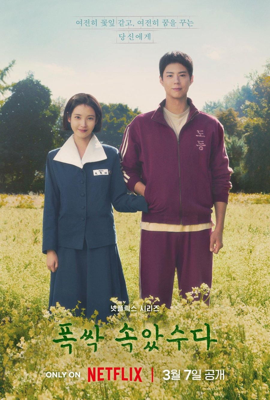 Poster K-Drama When Life Gives You Tangerines. (Hayat)