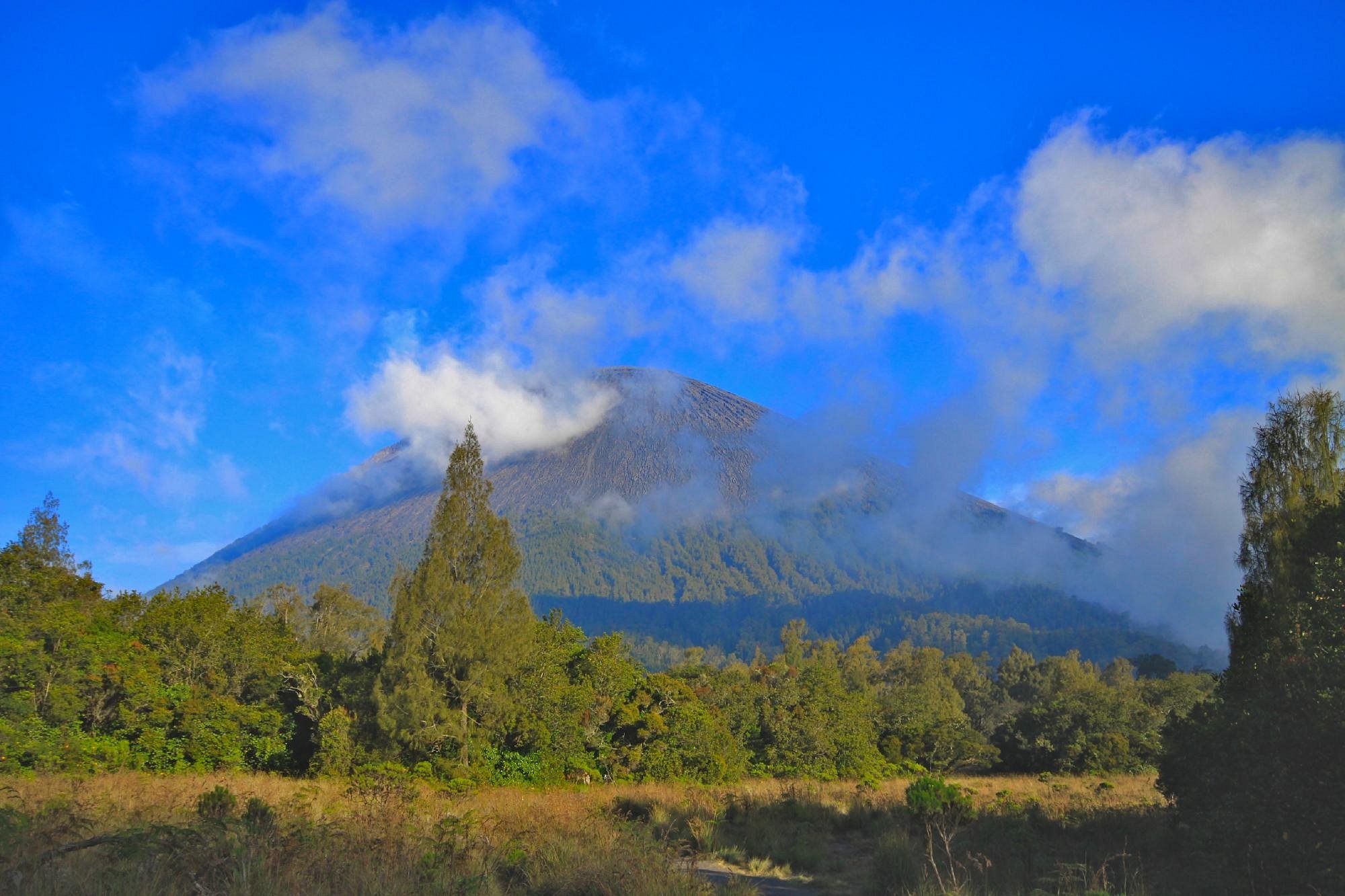 Gunung Semeru (Tripadvisor.com).