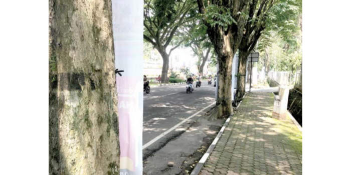 BAKAL KOORDINASI: Pohon di sisi barat Jalan Soekarno-Hatta bakal dirapikan. Beberapa ada yang hendak dipotong untuk jalur drainase (SATRIA CAHYONO / RADAR MALANG).