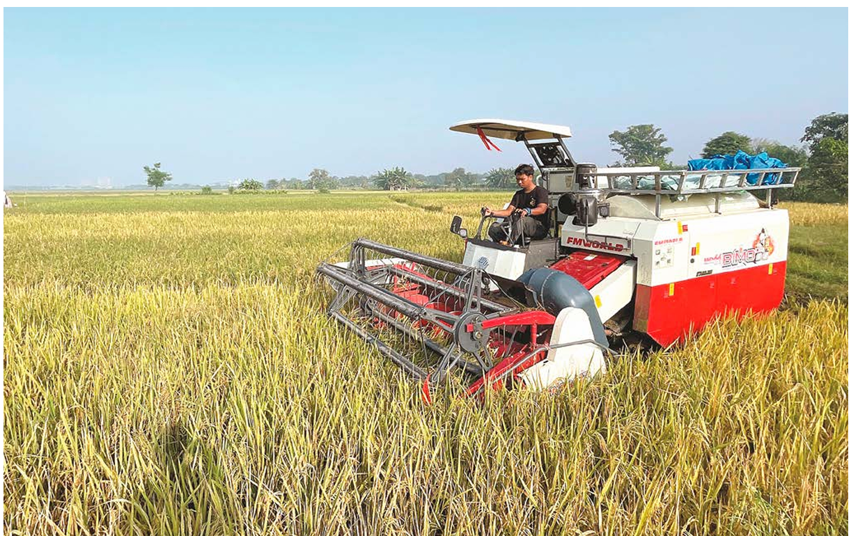 MODERN: Petani di Gresik memamen padi menggunakan combine harvester. Pemkab memastikan stok pupuk subsidi aman untuk musim tanam. (DOKUMEN JAWA POS)