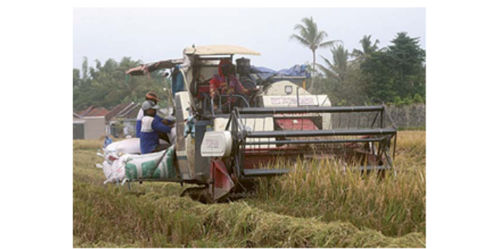 BERTEKNOLOGI: Petani di kecamatan turen memanen padi menggunakan traktor. Tahun ini Pemkab Malang menyalurkan bantuan traktor dan peralatan lain untuk petani. ( DARMONO/RADAR MALANG)