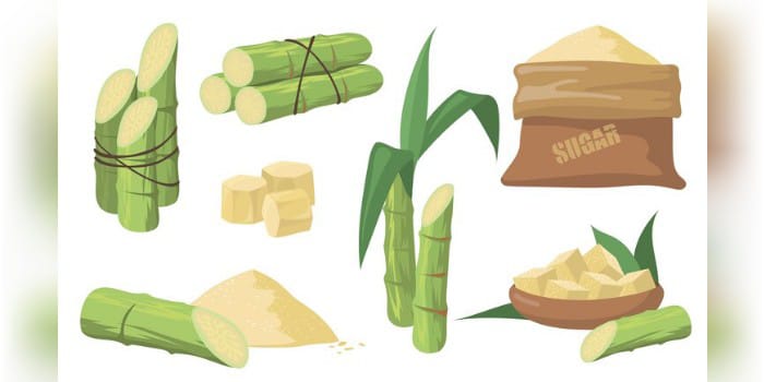 Ilustrasi Tebu (sumber foto: freepik)