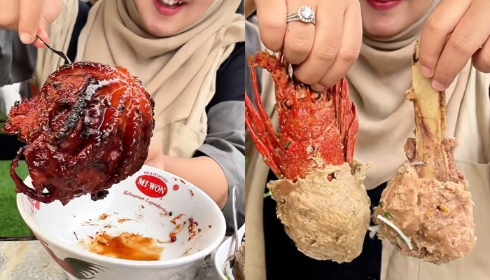 (tiktok/yoikimalang)
