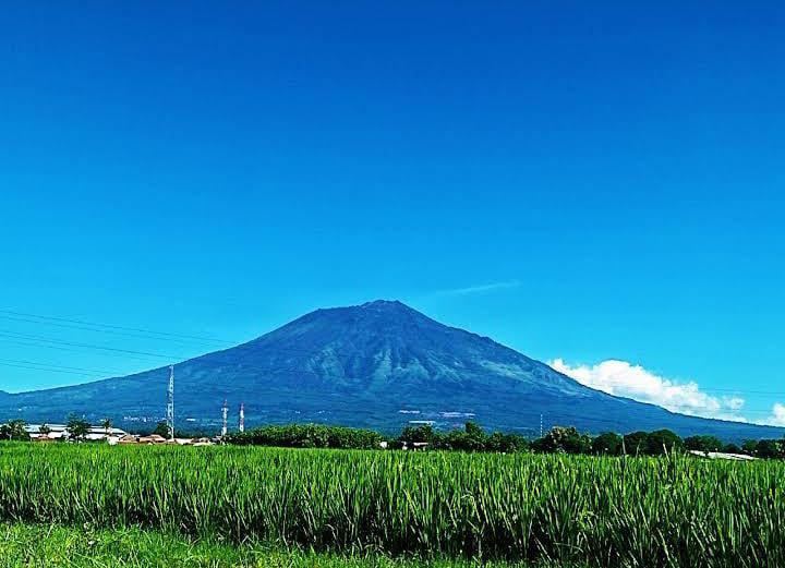 Gunung Arjuno tampak jauh. (Amalliyatus Solikha)