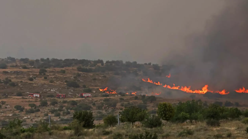 Foto Kebakaran Hutan di Israel (AFP/Ahmad Gharabli)