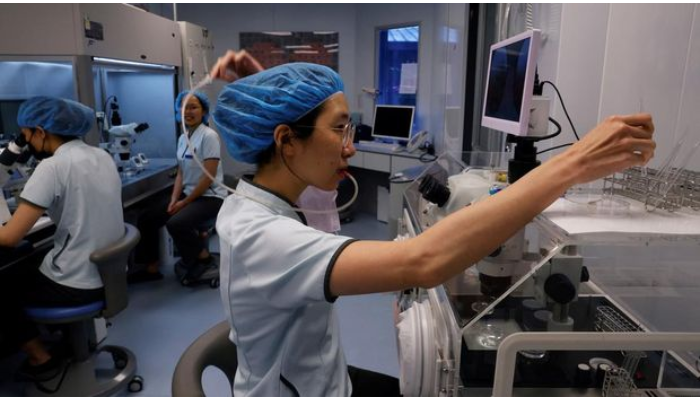 Ilustrasi. Biaya egg freezing pada wanita untuk menjaga masa subur. ((REUTERS/ANN WANG)
