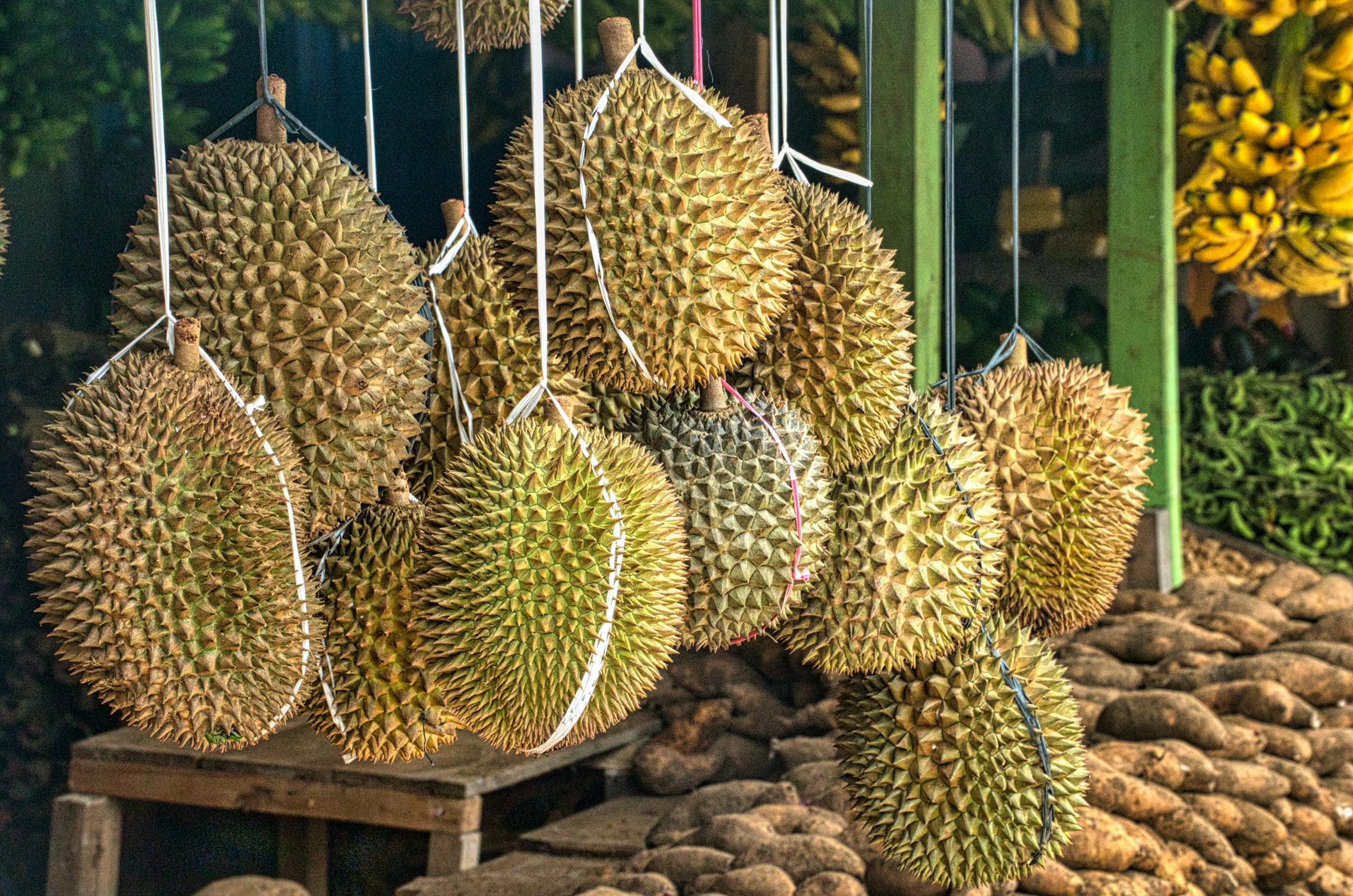 Ilustrasi. Beberapa makanan yang tidak boleh dikonsumsi bersamaan dengan durian. (pexels/tomfisk)