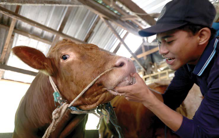 PASTIKAN AMAN:Pemkot sudah menyiapkan tim untuk memantau hewan kurban