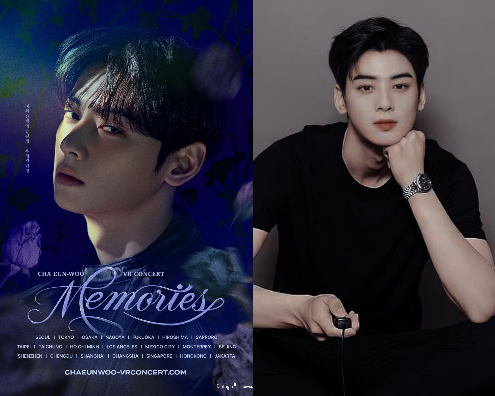 Poster Cha Eun Woo VR Concert: Memories 2025 (X @CHAEUNWOO_offcl)