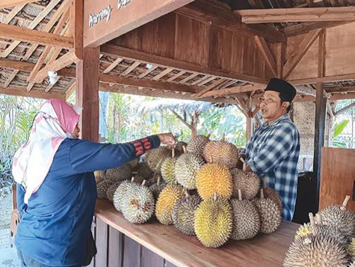 UNGGULAN: Wisatawan memilih durian di Desa Mulyoagung, Kecamatan Dau kemarin. Selain membeli di kios, juga tersedia wisata petik durian di sejumlah kecamatan.