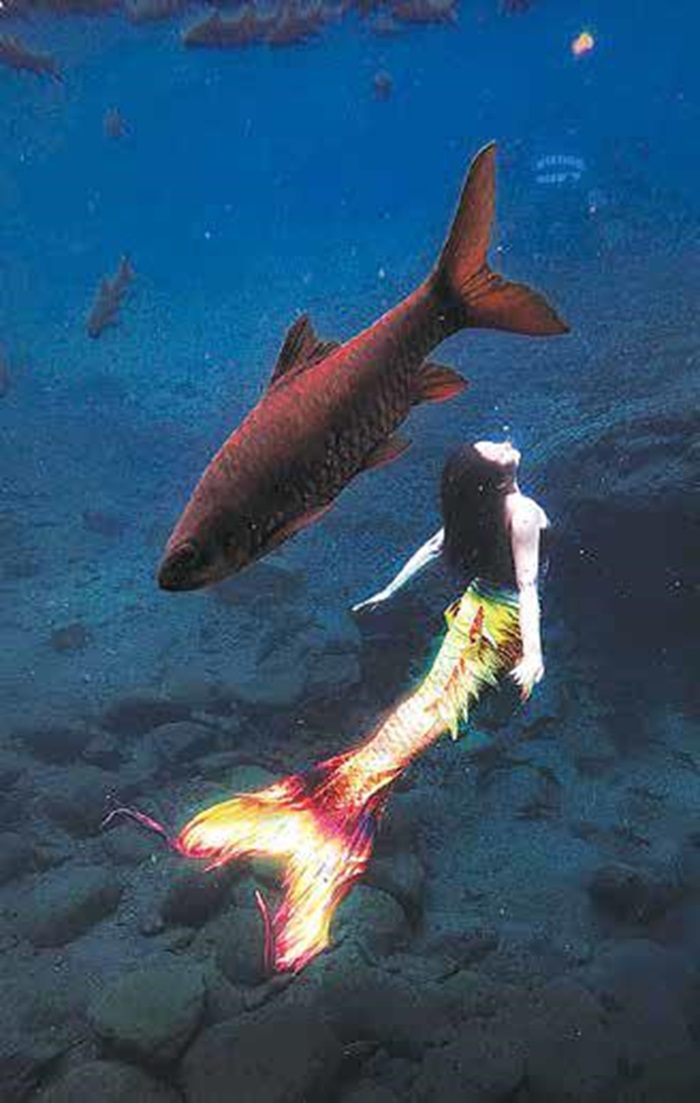 ESTETIK: Anggota Komunitas Mermaid Malang menyelam di Pemandian Alam Banyu Biru, Pasuruan, 8 Mei lalu.