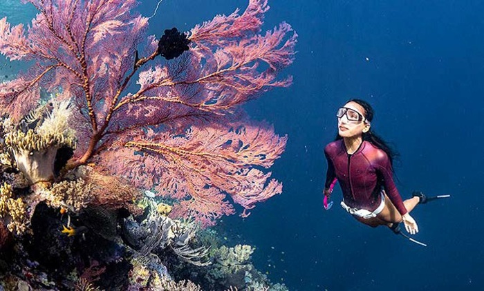 HOBI MENYELAM: Nikita Fima Atriyu melakukan open trip di perairan Wakatobi tahun 2021 lalu.