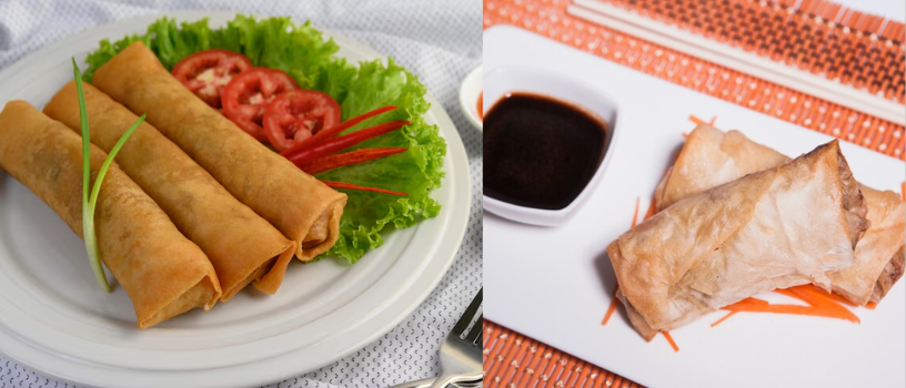 Ilustrasi lumpia kering dan basah (freepik)