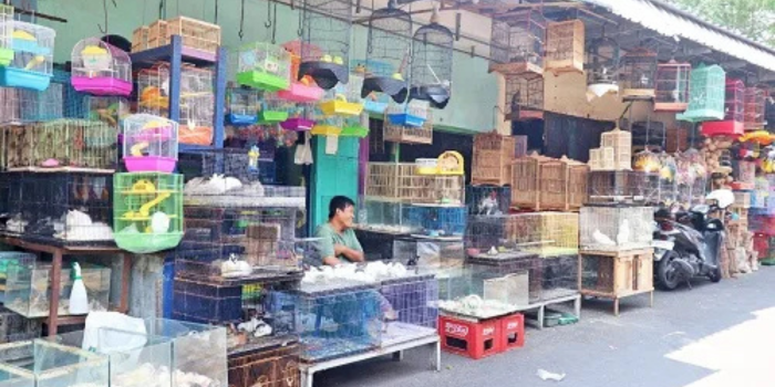 Foto suasana pasar hewan Splendid