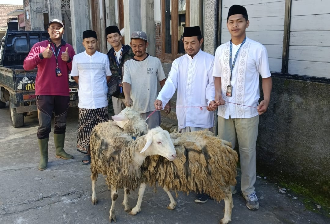 KAMBING KURBAN: Selain sapi Santerra juga menyerahkan kambing untuk kurban tahun ini.