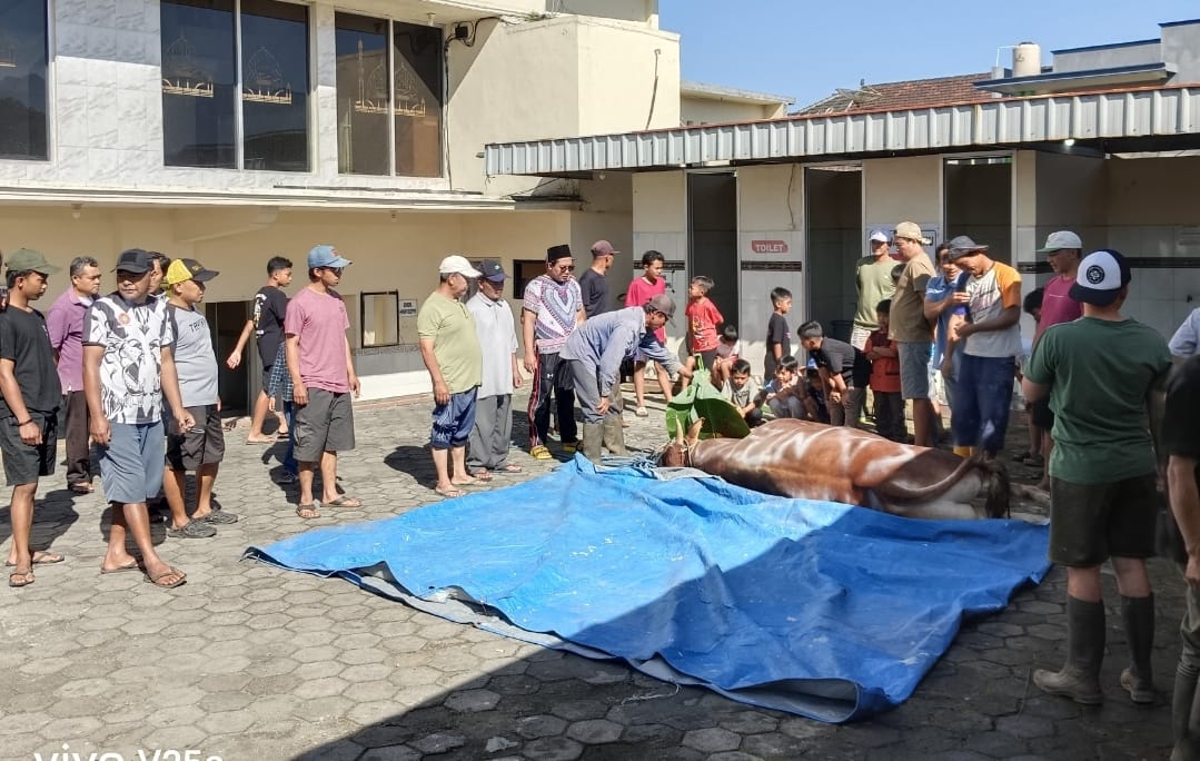 DISEMBELIH: Masyarakat dan panitia kurban menyembelih sapi setelah salat Idul Adha, Jumat (6/6)