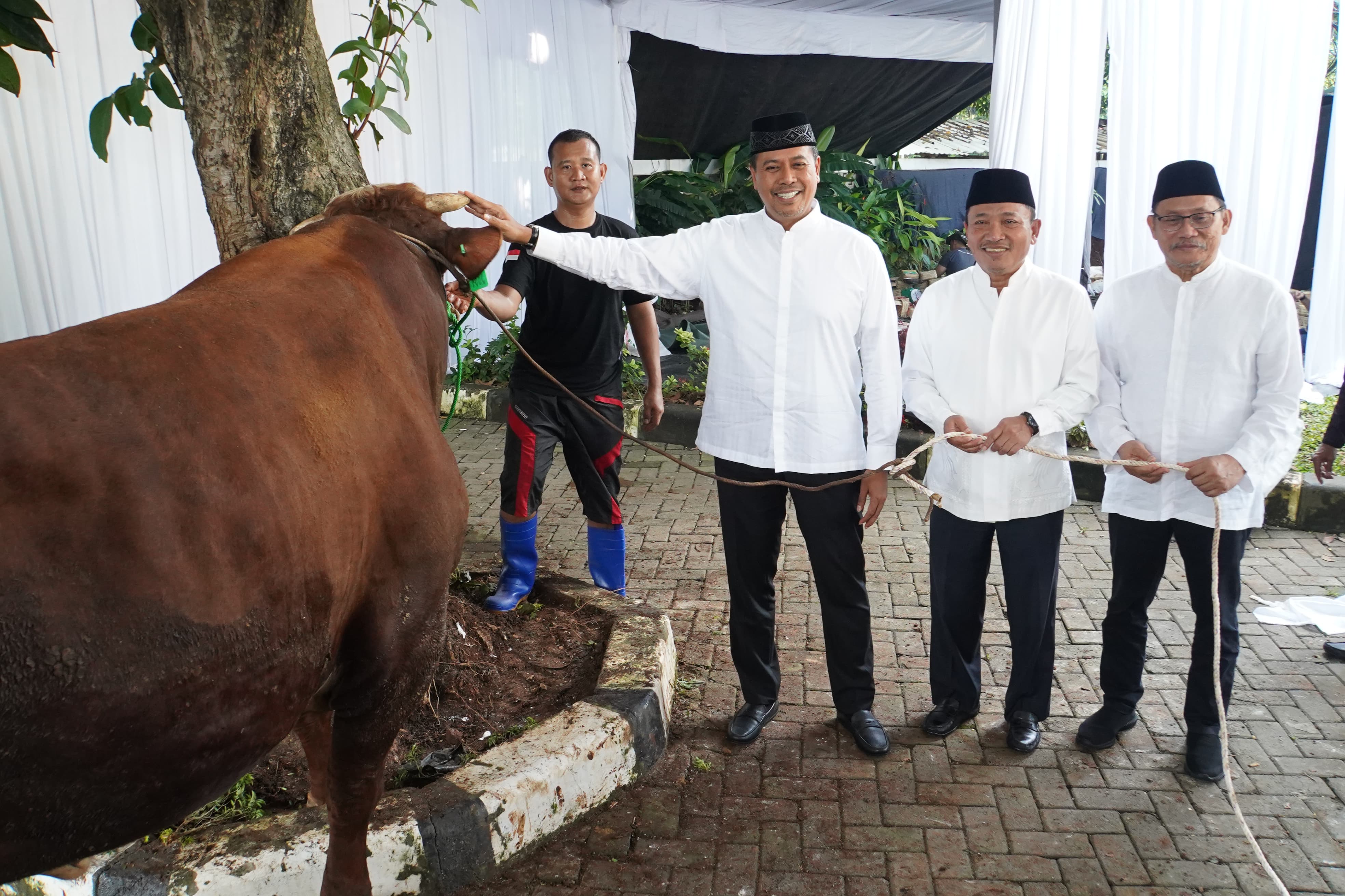 Dirut BSI Anggoro Eko Cahyo (kiri), Wakil Dirut BSI Bob T.Ananta (tengah) dan Direktur Eksekutif BSI Maslahat Sukoriyanto Saputro (kanan) saat menyaksikan prosesi pemotongan hewan kurban.