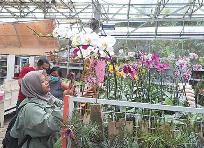 TANAMAN HIAS: Beberapa pengunjung memilih anggrek di Kebun 123 Desa Kemulan, Kecamatan Turen.
