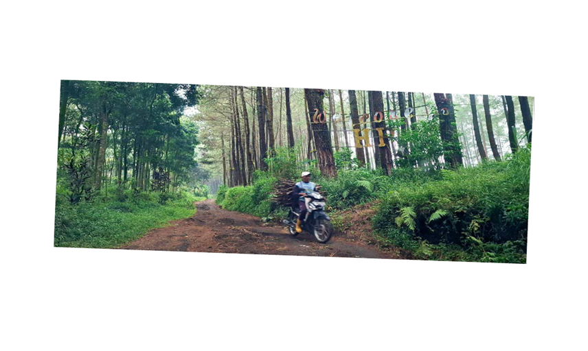 PERNAH BERJAYA: Papan tanda wisata Hutan Pinus Semeru di Desa Sumberputih, Kecamatan Wajak sudah berkarat dan rusak.