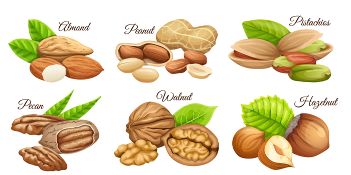 Ilustrasi Kacang-kacangan yang mengandung tinggi protein (pch.freepik.com)