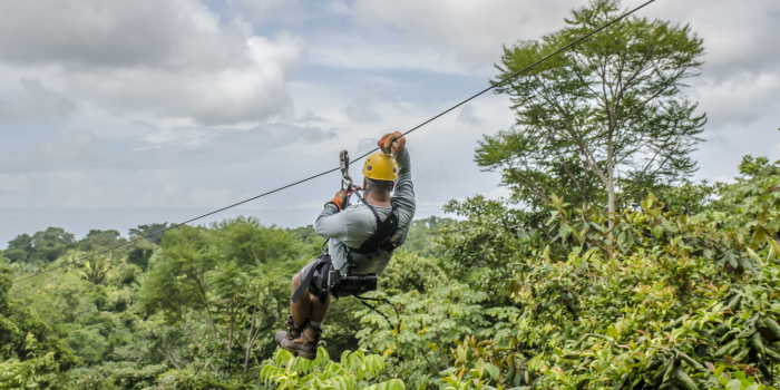 Ilustrasi Flying Fox (pch.freepik.com)
