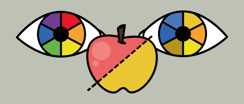 Ilustrasi pandangan warna pada orang dengan mata normal dan buta warna