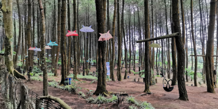 Foto tempat wisata Precet Forest