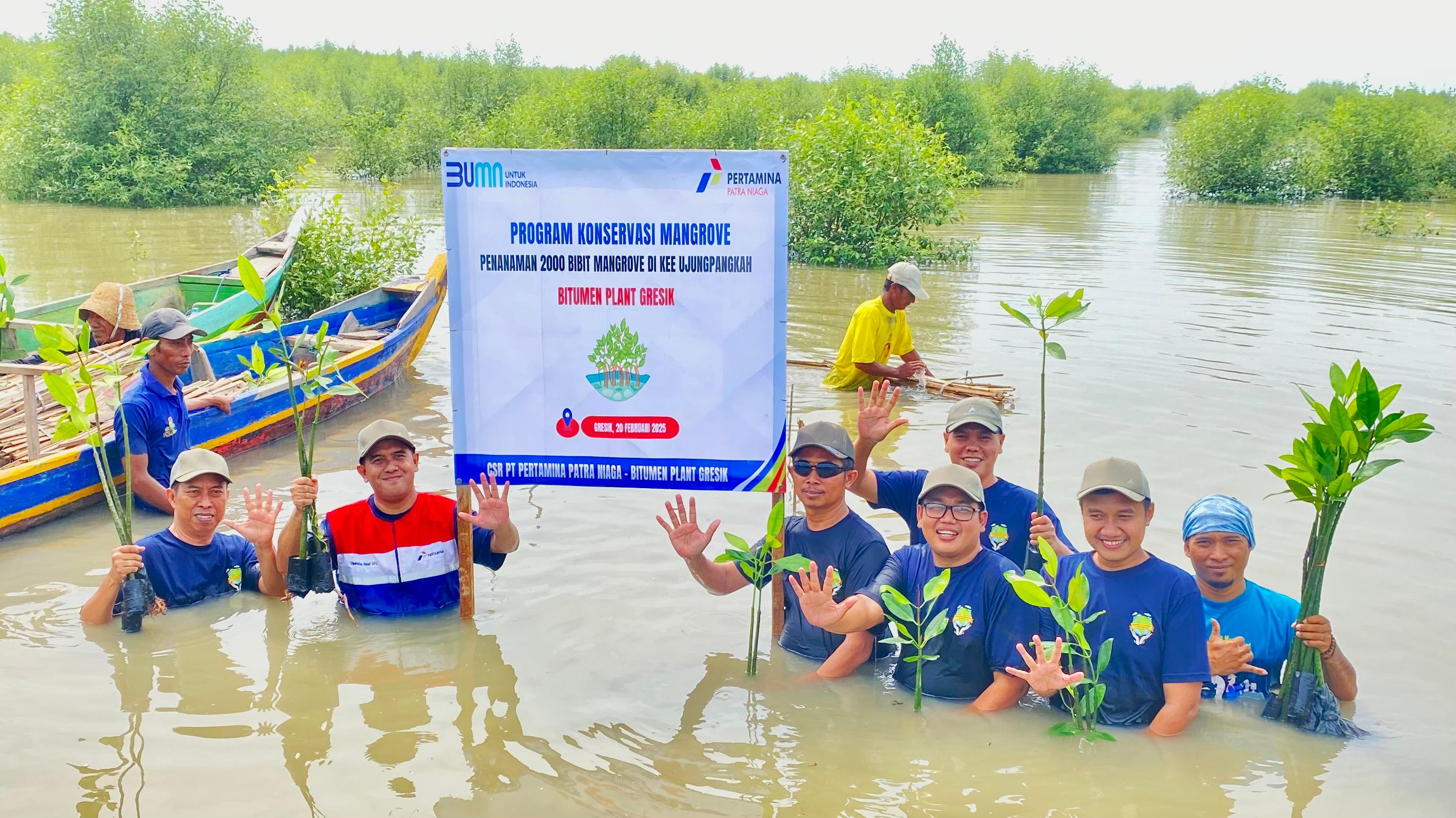 PEDULI LINGKUNGAN: PT Pertamina Patra Niaga Bitumen Plant Gresik menanam 2.000 bibit mangrove di Kawasan Ekosistem Esensial (KEE) Ujung Pangkah, Kabupaten Gresik.