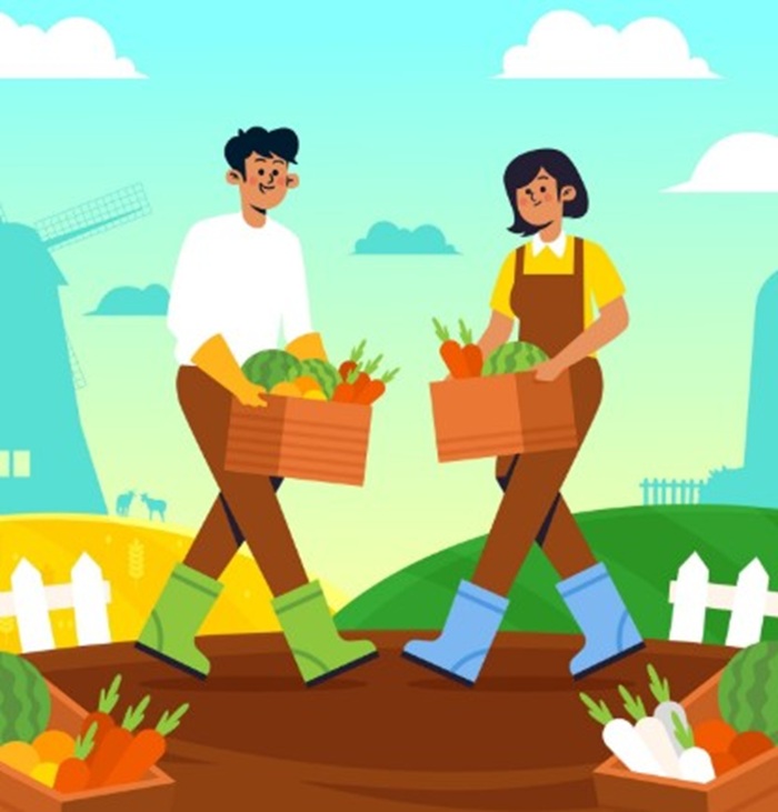 Ilustrasi panen.