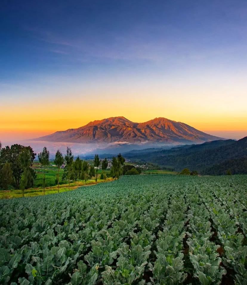 Pesona Alam: pemandangan alam yang menakjubkan mata